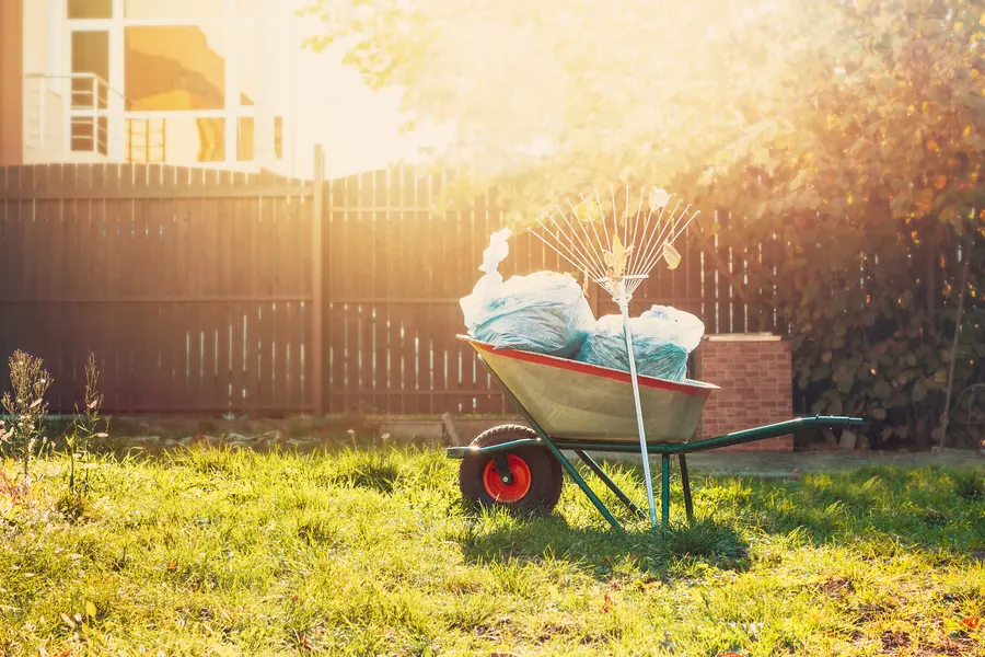 Tips For Scheduling Regular Yard Waste Removal Services in Tucson, AZ